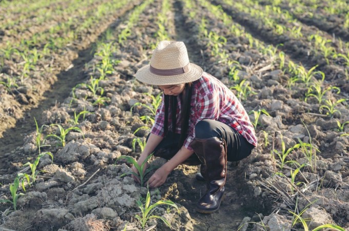 Participao feminina cresce no setor do agronegcio
