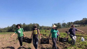 deputados-aprovaram-socorro-a-pequenos-agricultores-durante-pandemia