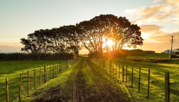 ibitinga-conquista-recursos-para-gestao-sustentavel-de-area-rural