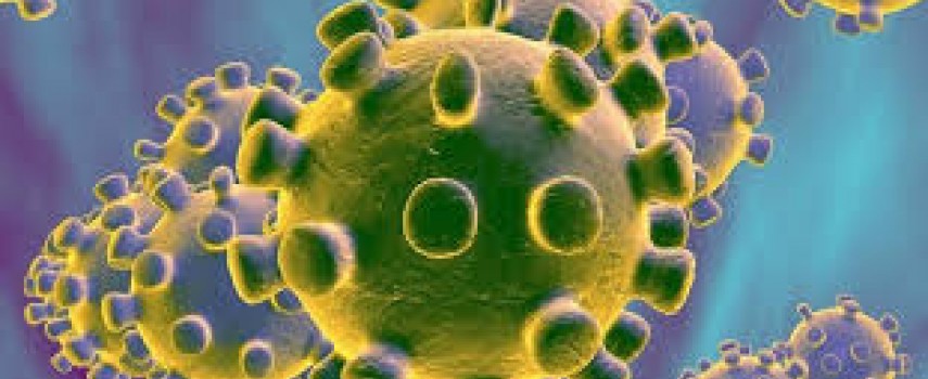 ibitinga-mais-dois-pacientes-morreram-total-sobe-para-79-mortes