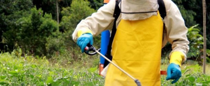 sindicato-rural-alerta-sobre-o-uso-de-agrotoxico