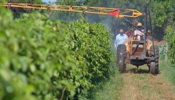 agricultores-investem-em-bioinsumos-para-producao-de-organicos