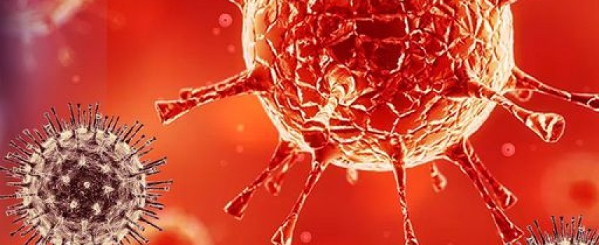 covid-19-com-mais-7-mortes-ibitinga-agora-registra-196-obitos