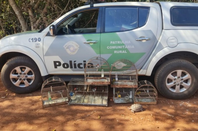 Ibitinga:PM Ambiental aplica multa de R$ 6 mil por aves em cativeiro