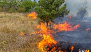 capacitacao-gratuita-de-combate-a-incendios-florestais-sera-no-dia-7