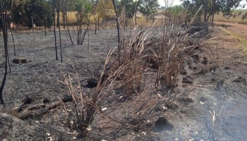 pm-ambiental-aplicou-multa-devido-a-incendio-em-vegetacao