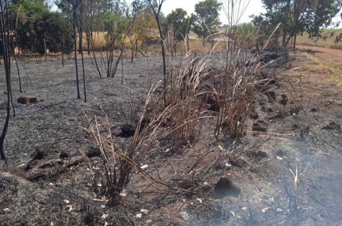 PM Ambiental aplicou multa devido a incndio em vegetao