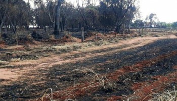 propriedade-rural-e-multada-em-mais-de-rs-100-mil-por-queimada