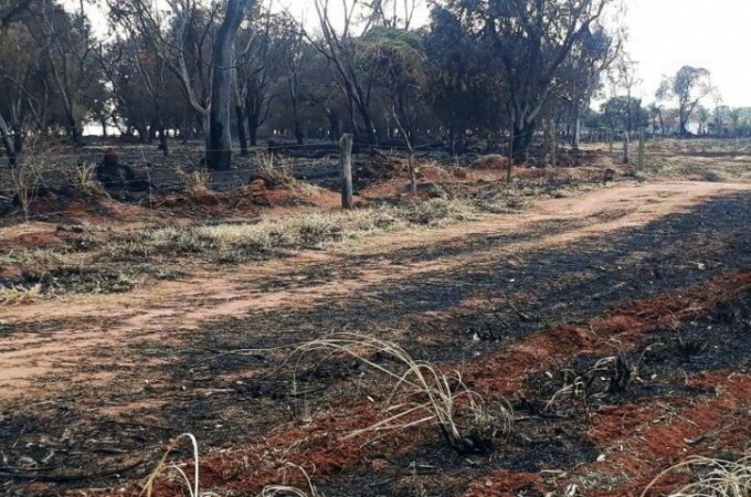 Propriedade rural  multada em mais de R$ 100 mil por queimada