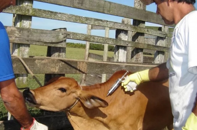 Raiva bovina  registrado pela Vigilncia Sanitria em Sabino