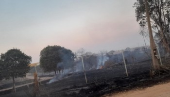 incendio-consome-grande-area-de-plantacoes-e-area-de-preservacao