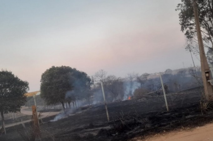 Incndio consome grande rea de plantaes e rea de preservao 