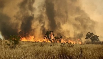 sp-tem-recorde-de-focos-de-incendio-em-agosto-aponta-inpe