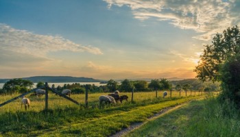 produtores-ganham-mais-prazo-para-parcelamento-de-divida-do-funrural