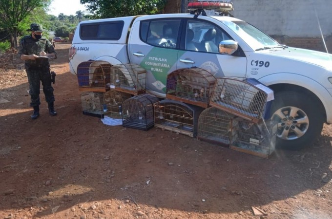 PM Ambiental multou homem por cativeiro ilegal de aves em Borborema