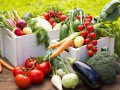 Sindicato Rural explana sobre o programa “Agricultura Familiar” 