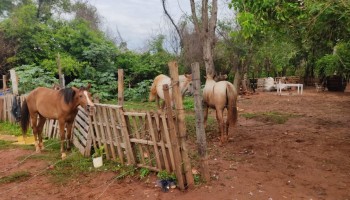 pm-ambiental-aplica-multa-por-uso-indevido-de-area-de-vegetacao