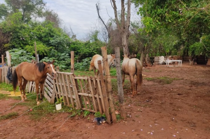 PM Ambiental aplica multa por uso indevido de rea de vegetao