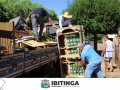 Mutirão da Limpeza começará dia 17 em Ibitinga