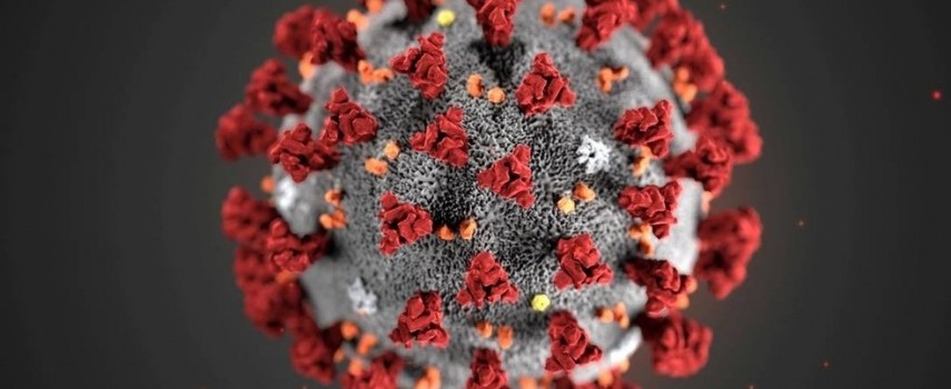 covid-19-ibitinga-registra-03-obitos-em-72-horas