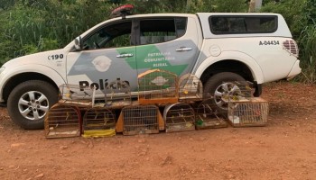 ibitinga-pm-ambiental-aprende-aves-e-aplica-multa-de-rs-19-mil