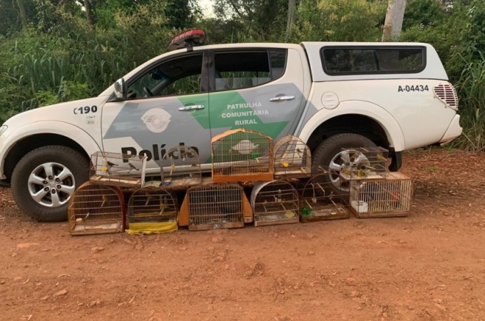 Ibitinga: PM Ambiental aprende aves e aplica multa de R$ 19 mil 