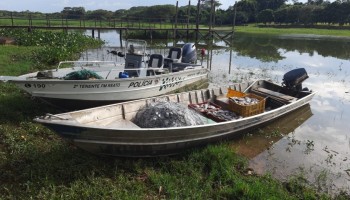 pm-ambiental-apreende-223-kg-de-peixes-pescados-rio-tiete-e-batalha