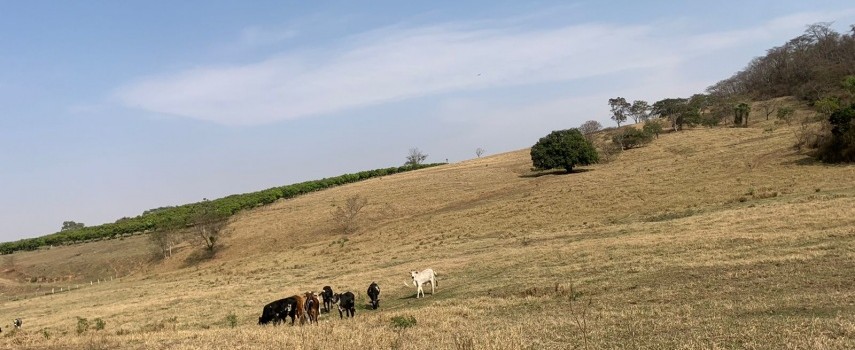 pm-ambiental-aplica-multa-de-rs-421-mil-por-degradacao