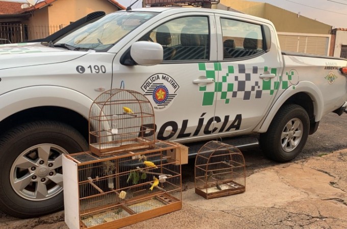 PM Ambiental apreende pssaros e aplica multa no Jd. Paineiras