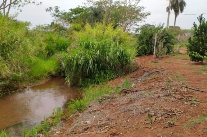 Itpolis: PM Ambiental aplica autuao por degradao de vegetao