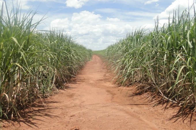 Sindicato Rural divulga nota da Faesp sobre resultado das eleies