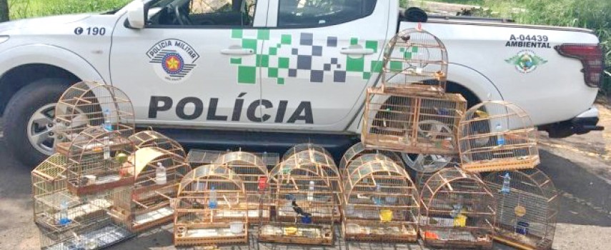 pm-ambiental-aplica-multa-de-rs-11-mil-depois-de-apreensao-de-aves