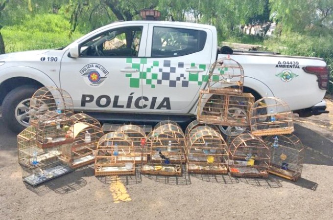 PM Ambiental aplica multa de R$ 11 mil depois de apreenso de aves 