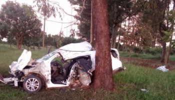 itapolis-homem-morre-apos-bater-carro-em-arvore-na-sp-333