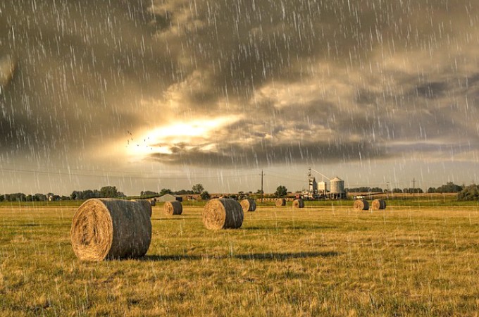 Boas perspectivas para agricultura aps incio de ano com chuva