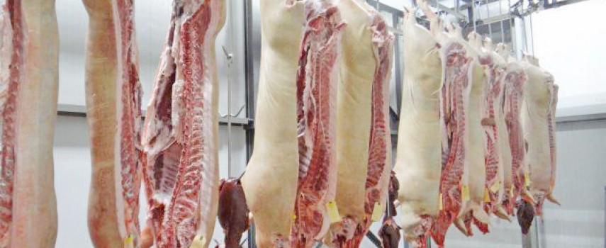 carne-suina-brasil-deve-produzir-mais-este-ano-do-que-em-2022