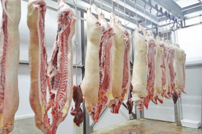 Carne suna: Brasil deve produzir mais este ano do que em 2022