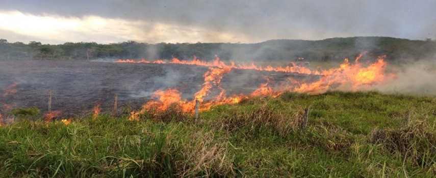 incendio-destruiu-plantacao-de-cana-de-acucar-no-bairro-agua-quente