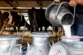 FAESP trabalha pra garantir rentabilidade dos produtores de leite 