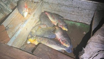 ibitinga-pm-ambiental-flagra-pesca-ilegal-na-boca-da-barragem