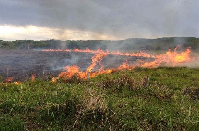 Ibitinga: Limpar terrenos com fogo gera multa de at R$ 1.498,50