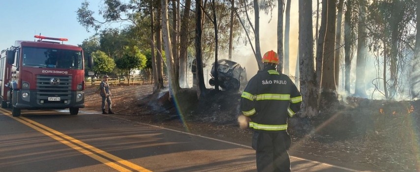 carro-bate-em-arvore-pega-fogo-e-incendeia-vegetacao-na-rodovia