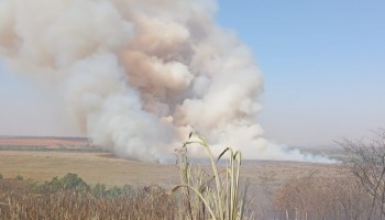 ibitinga-area-do-pantaninho-foi-atingida-por-incendio