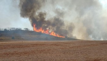 incendios-sp-lanca-pacote-de-rs-10-milhoes-pra-socorrer-produtores