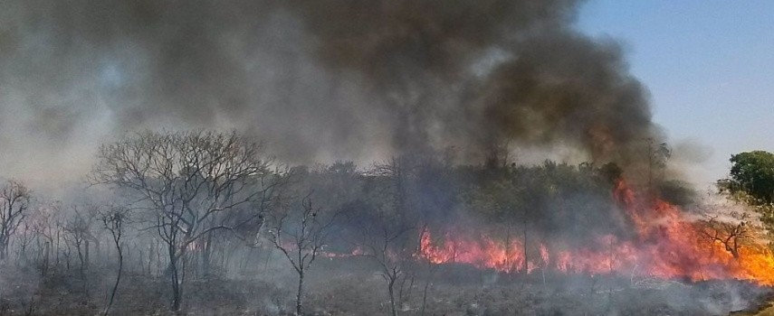 interior-de-sp-volta-a-ter-situacao-de-emergencia-para-queimadas