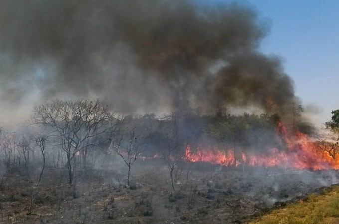 Interior de SP volta a ter situao de emergncia para queimadas