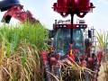 Agropecuria: Nmero de admisses foi maior que demisses