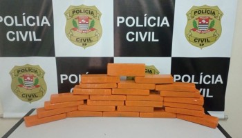 policia-civil-de-ibitinga-apreende-14kg-de-maconha-em-area-rural