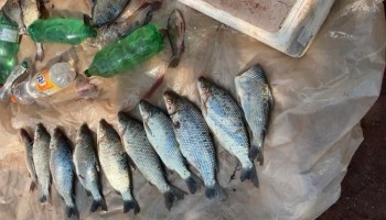 policia-ambiental-esta-realizando-operacoes-contra-pesca-ilegal