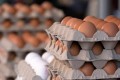 Ovos e tomate tiveram as maiores valorizaes de preos